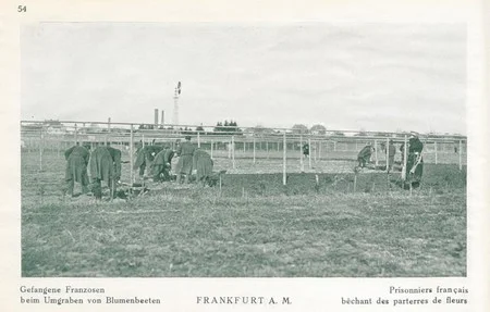 Prisonniers fran&ccedil;ais b&ecirc;chant des parterres de fleur au camp de Francfort pendant la Premi&egrave;re Guerre Mondiale