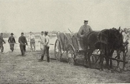 Fumure au guano dans les environs du camp de Friedrichsfeld pendant la Grande Guerre