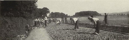 La construction des chemins par les prisonniers du camp de Minden pendant la Première Guerre Mondiale