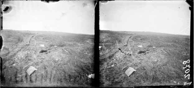 Le bois de la Caillette vu depuis le fort de Douaumont